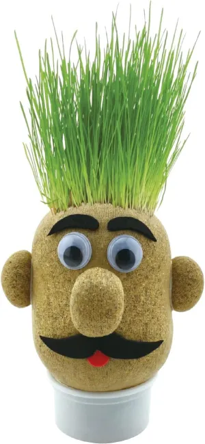 Funtime Gifts Grasshead Novelty Grow Your Own Grass Head, Green D