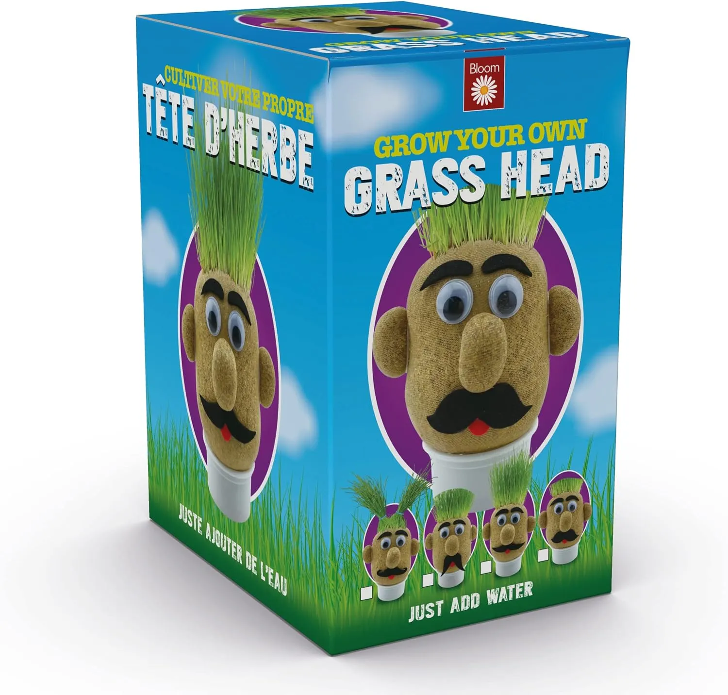 Funtime Gifts Grasshead Novelty Grow Your Own Grass Head, Green D