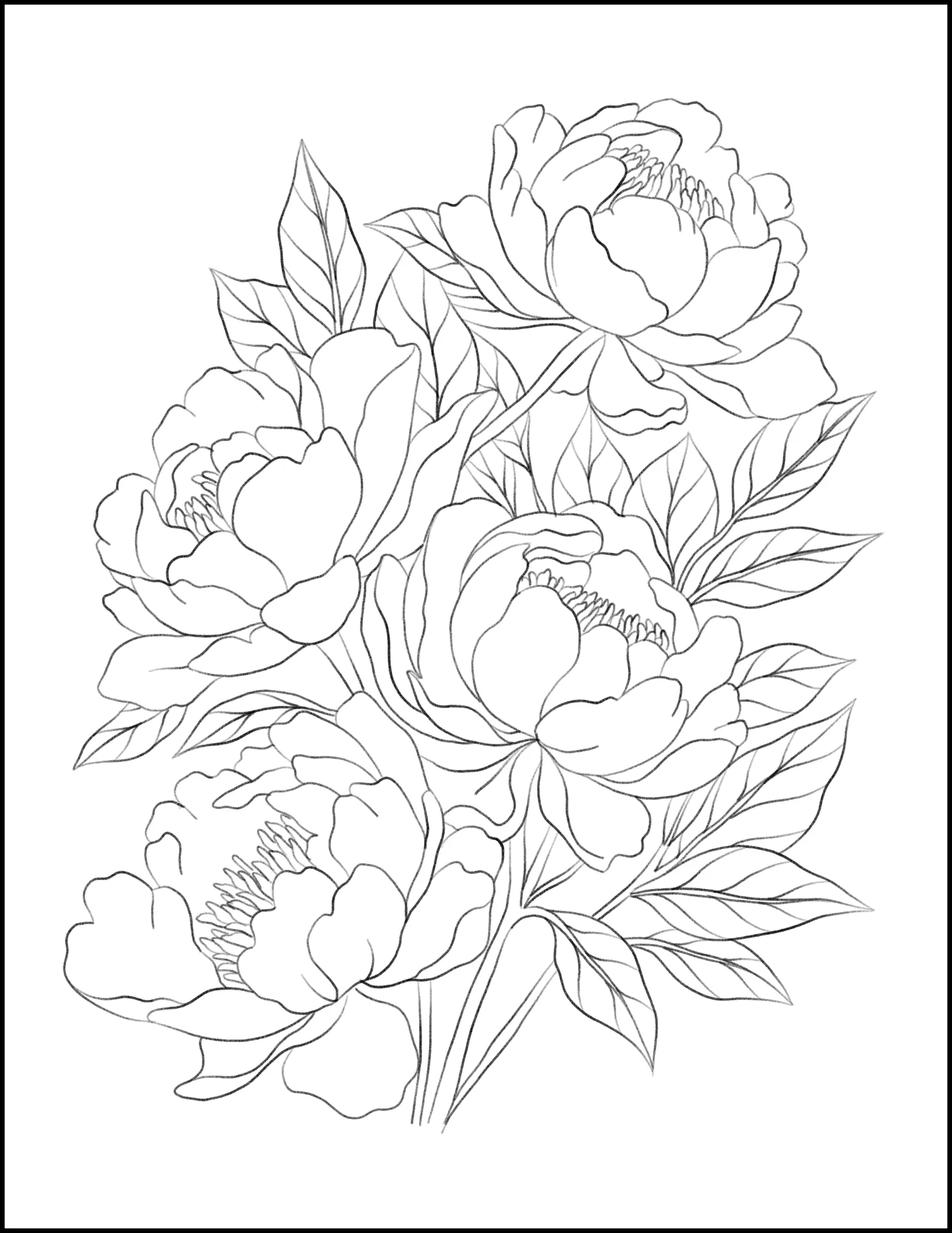 Multi Book: Flowers, Animals, and Home Interior Designs Printable Coloring Book